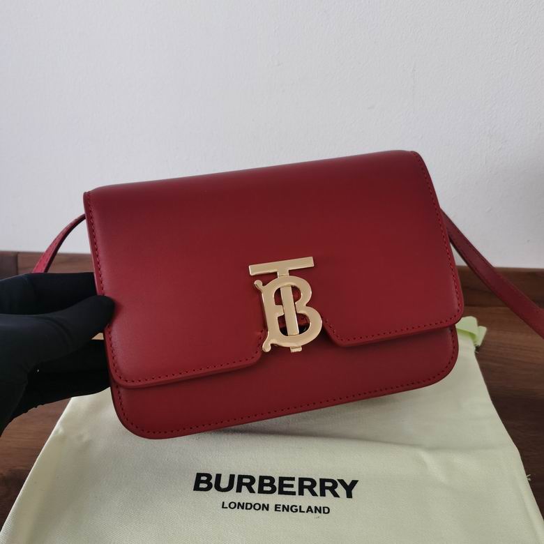 Burberry 21x16x6cm HQ 2