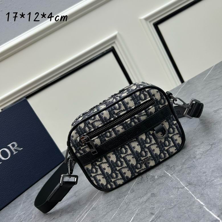 Dior Safari 011 17x12.5x4cm ww