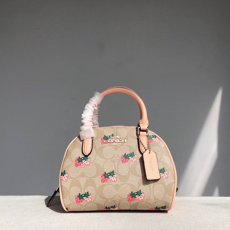 CB596  20.5x12.5x15.5cm YG