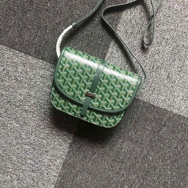Goyard One shoulder bag 11